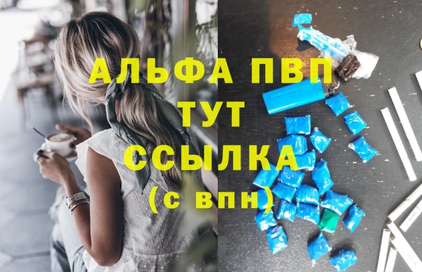 гидра Богданович