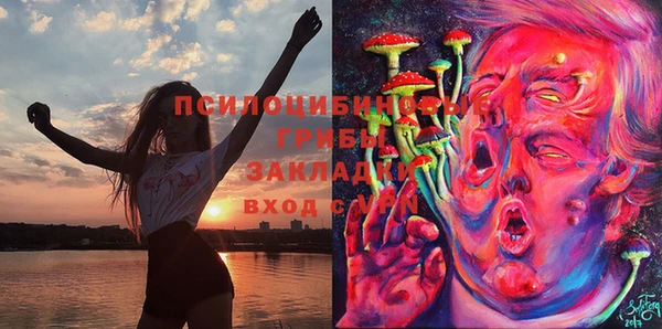 гидра Богданович