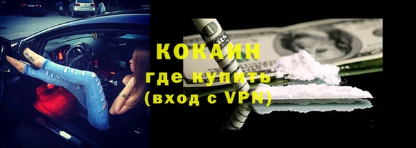 гидра Богданович