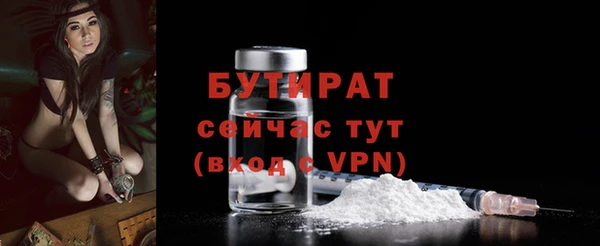гидра Богданович