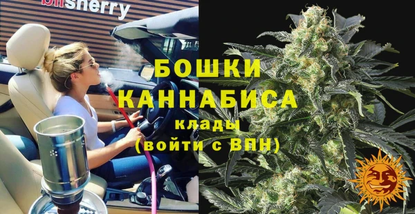 гидра Богданович