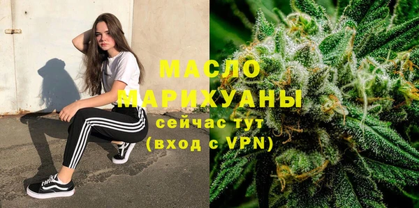 гидра Богданович