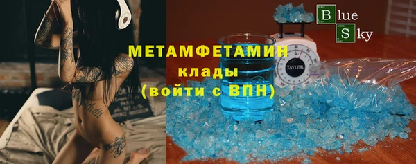 гидра Богданович