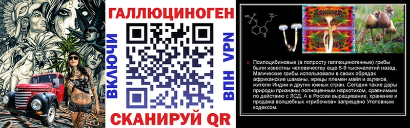 Купить закладки  Корсаков  Псилоцибиновые грибы Psilocybe 